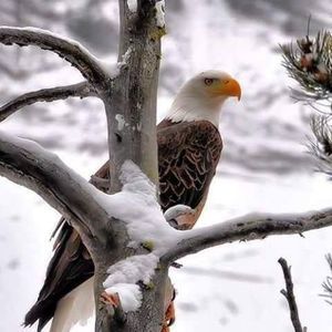 Meet your Posher, Linda